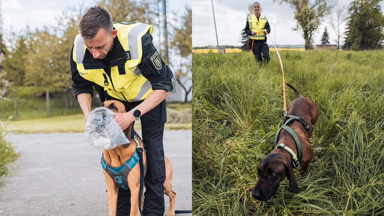 Fährtenhund