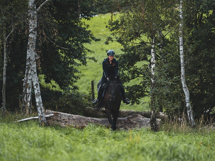 Reiterin reitet mit ihrem Pferd durch die Natur