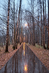 Radweg im Herbst