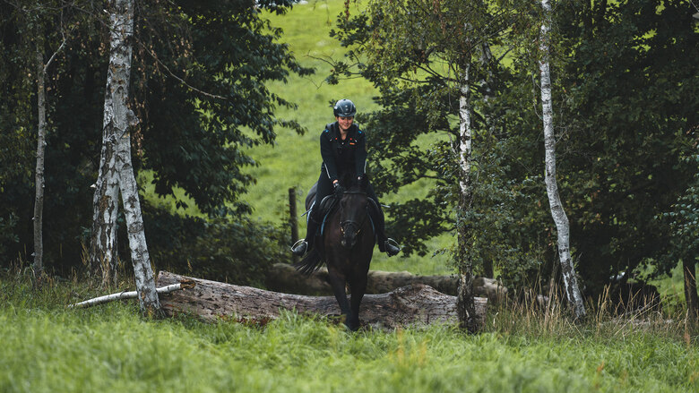 Reiterin reitet mit ihrem Pferd durch die Natur